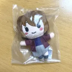 名探偵コナン セガラッキーくじ メモリアルカット 灰原哀　マスコット　ぬいぐるみ