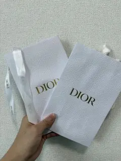 Dior ショップ袋 2個セット