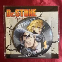 dr.stone スタンリー ゼノ 75mm 缶ミラー 40個 A dr.stone スタンリー ゼノ 75mm 缶ミラー - メルカリ