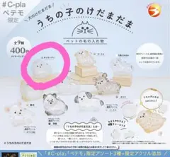 うちの子のけだまだま ポメラニアン　ペテモ限定　ガチャ