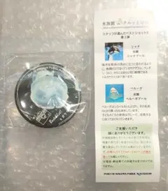 2026年最新】水族館deクルッと寄付の人気アイテム - メルカリ