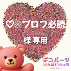 ♡※プロフ必読 様　専用ページ
