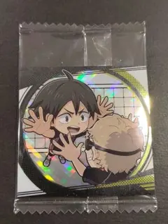 HQ1-09 ハイキュー　ウエハース　シール　山口　月島