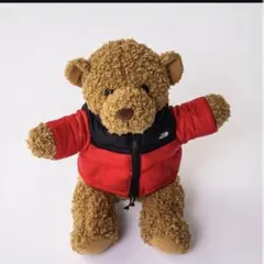 2026年最新】THE NORTH FACE ぬいぐるみの人気アイテム - メルカリ