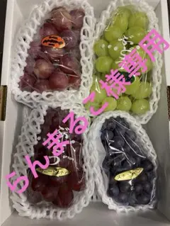 2025年最新】スチューベン アップルの人気アイテム - メルカリ