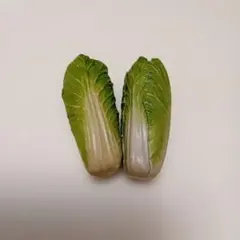 ミニチュア 陶器