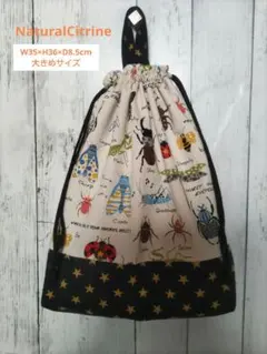 Item thumbnail for item 997f0d41-c7cc-4747-bfde-7d711fb500e3