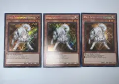 ライトロードハンターライコウ 1stLODT ドイツ版 スーパー 非英語版
