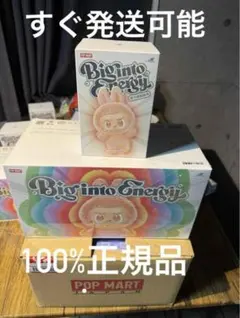 正規品　LABUBU らぶぶ　未開封　ぬいぐるみ 3個 60007.jpg