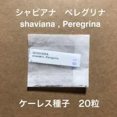 2025年最新】ケーレス種子の人気アイテム - メルカリ