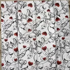 Item thumbnail for item e2c877e8-34d7-444c-9ddb-ad9dc7373d42