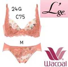 ❤ワコール❤ルジェ２４GハーモニーフィットブラC75 ショーツM