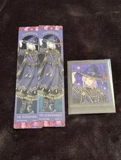 ヴィル アニメイト特典2+ぱしゃこれ1枚セット