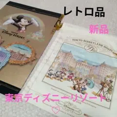 東京ディズニーリゾート ティンカーベル✩巾着　クリアーケース…♡♡レトロ品