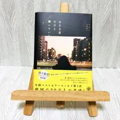 【美品】小さな星だけど輝いている