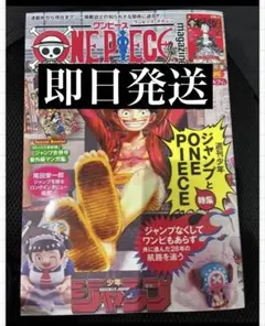 新品未開封 ワンピースマガジン第20号 ルフィプロモ付 1冊