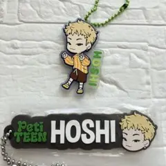 SEVENTEEN PetiTEENラバマス ホシ セット