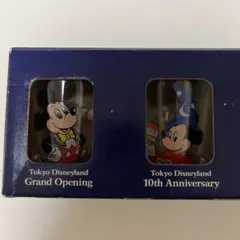 東京ディズニーランド 記念グラスセット