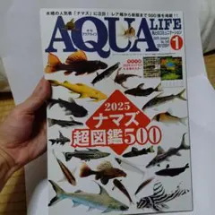 2026年最新】月刊アクアライフの人気アイテム - メルカリ