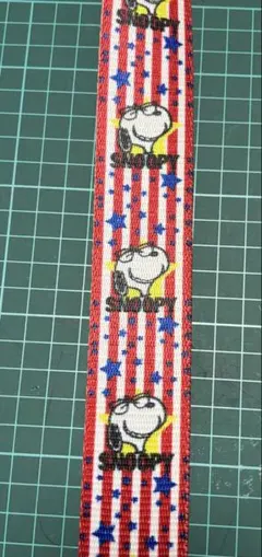 Item thumbnail for item 60ca48fa-2e5b-433d-879f-3ed4b932baaa