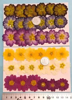 Item thumbnail for item ff87282a-c20c-4206-b53a-101b7b00871f