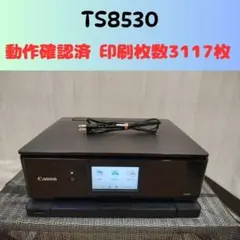 Canon PIXUS TS8630 印刷枚数130枚印刷 N8128 - メルカリ