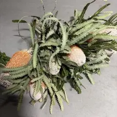 Misayoutaro様 リクエスト 3点 まとめ商品