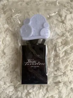 we're timelesz 2024 オリジナルペンライト