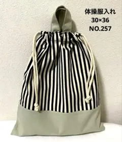 Item thumbnail for item 64e4103c-d57b-42d5-ab58-dda7179be4a1