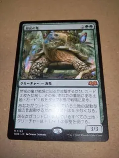 MTG 開花の亀 日本語版