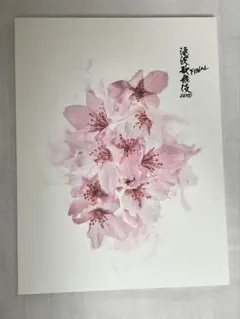 滝沢歌舞伎ZERO FINAL パンフレット