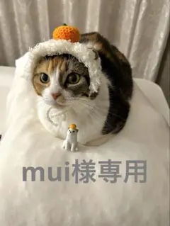 Item thumbnail for item c9f76d92-f49c-45a2-a627-9a1a6068db1d