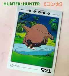 2026年最新】ハンター×ハンターカードダスマスターズの人気アイテム