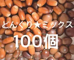 どんぐり★ミックス100個