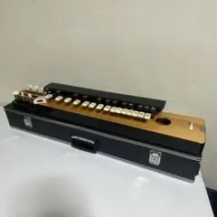 2025年最新】木村 大正琴の人気アイテム - メルカリ