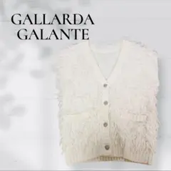 GALLARDA GALANTE ガリャルダガランテ フリンジ ニットベスト