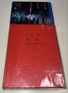 2026年最新】堂本剛 祈望 平安神宮 奉納演奏史 2014-2019の人気