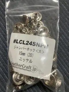 Item thumbnail for item f2478cca-763b-4edf-8030-d647738fd738