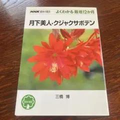 あんだんご★断捨離中★目指せ1日1出品様 リクエスト 2点 まとめ商品