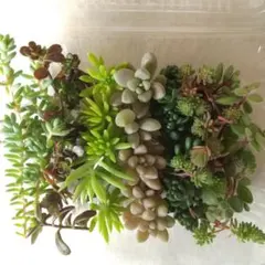 雪ママ様 リクエスト 2点 まとめ商品