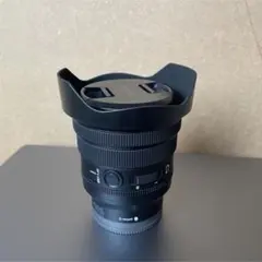 五平餅さま専用】SONY 12-24mm F4 SEL1224G - メルカリ