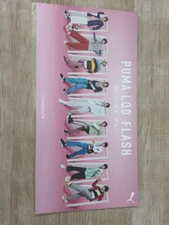 Snow Man PUMA 特典カード