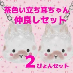 ★2個★ウサギの毛玉入れ キーホルダー②ꪔ̤̥うさぎ 毛入れ