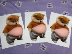 3枚 セット　柴犬 お腹ぷにぷにシール 3Dシール ステッカーシール帳