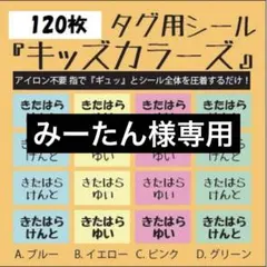 みーたん様専用 リピ割 キッズカラーズ アイロン不要 お名前布シール タグ用