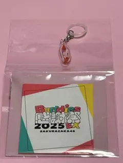 Item thumbnail for item b287f6dc-78cd-4819-b6fd-3cb9da970131