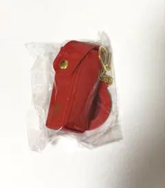 COACH レザーケース ミラー 携帯ケース セット - メルカリ