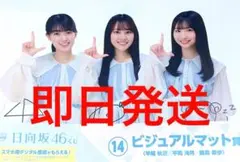 Item thumbnail for item 0917a038-5fe0-47eb-8343-fb33f69aec7b