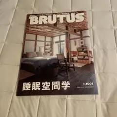 即購入OK! BRUTUS(ブルータス) 2024年2月15日号