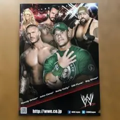 WWE プリントクリアファイル